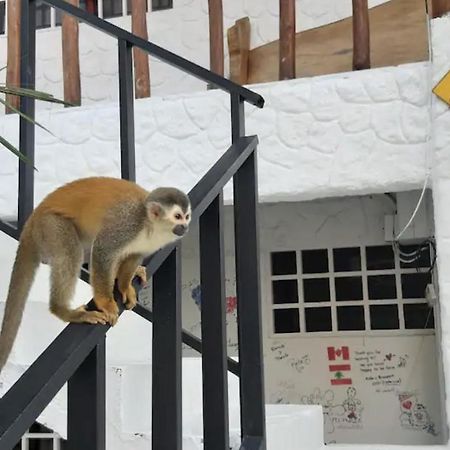 Mizaru Ocean View Hotel Manuel Antonio Quepos Zewnętrze zdjęcie