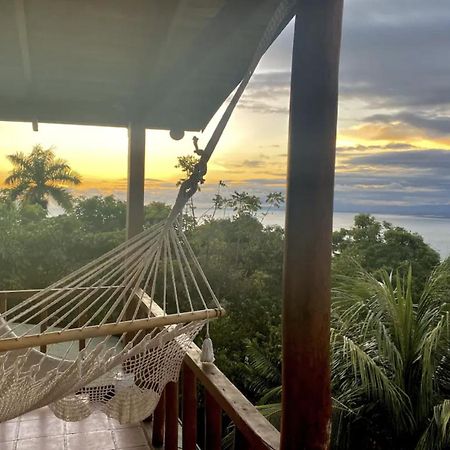 Mizaru Ocean View Hotel Manuel Antonio Quepos Zewnętrze zdjęcie