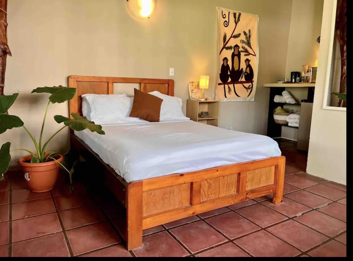 Mizaru Ocean View Hotel Manuel Antonio Quepos Zewnętrze zdjęcie