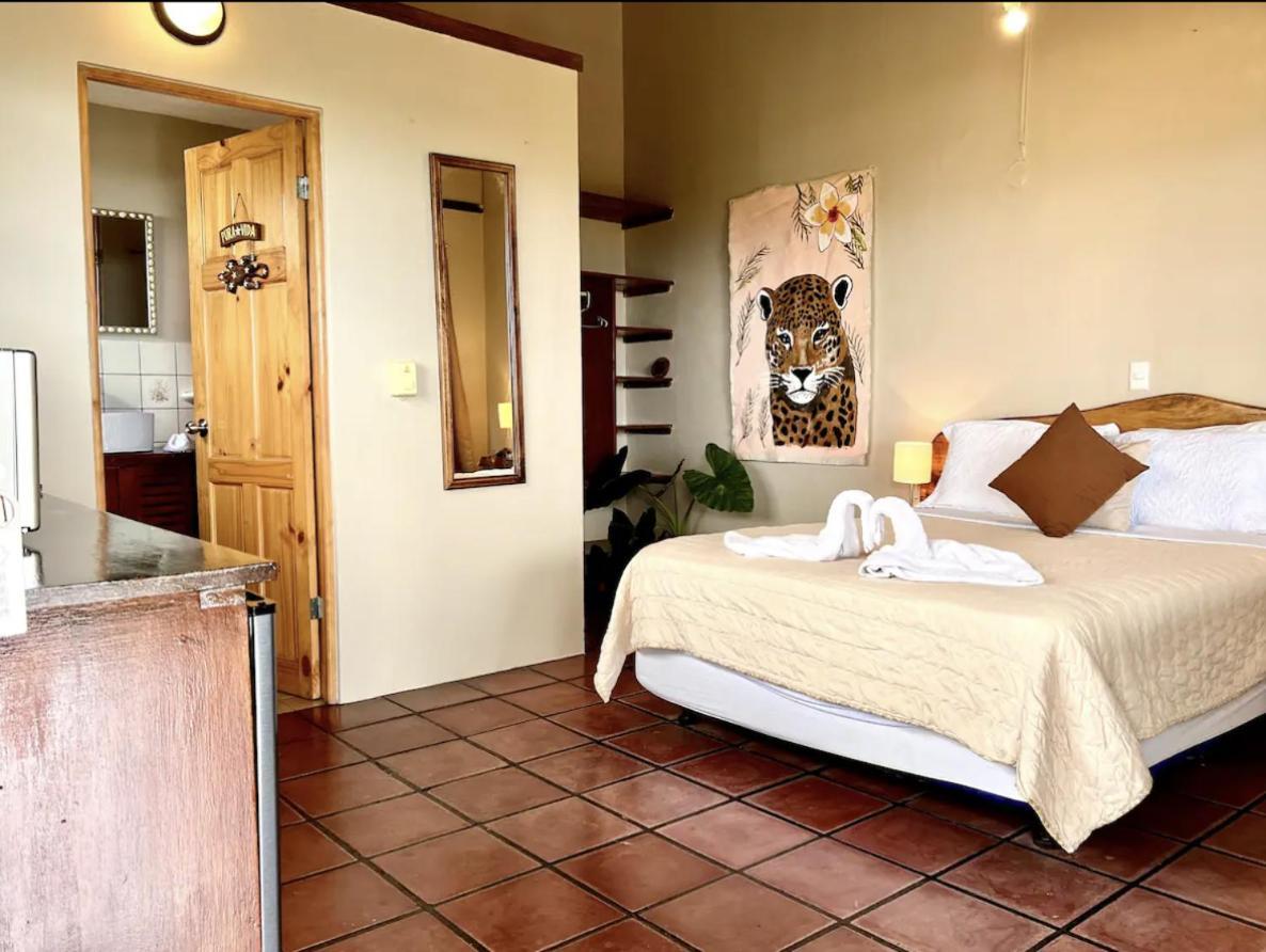 Mizaru Ocean View Hotel Manuel Antonio Quepos Zewnętrze zdjęcie