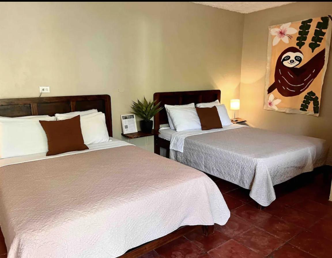 Mizaru Ocean View Hotel Manuel Antonio Quepos Zewnętrze zdjęcie