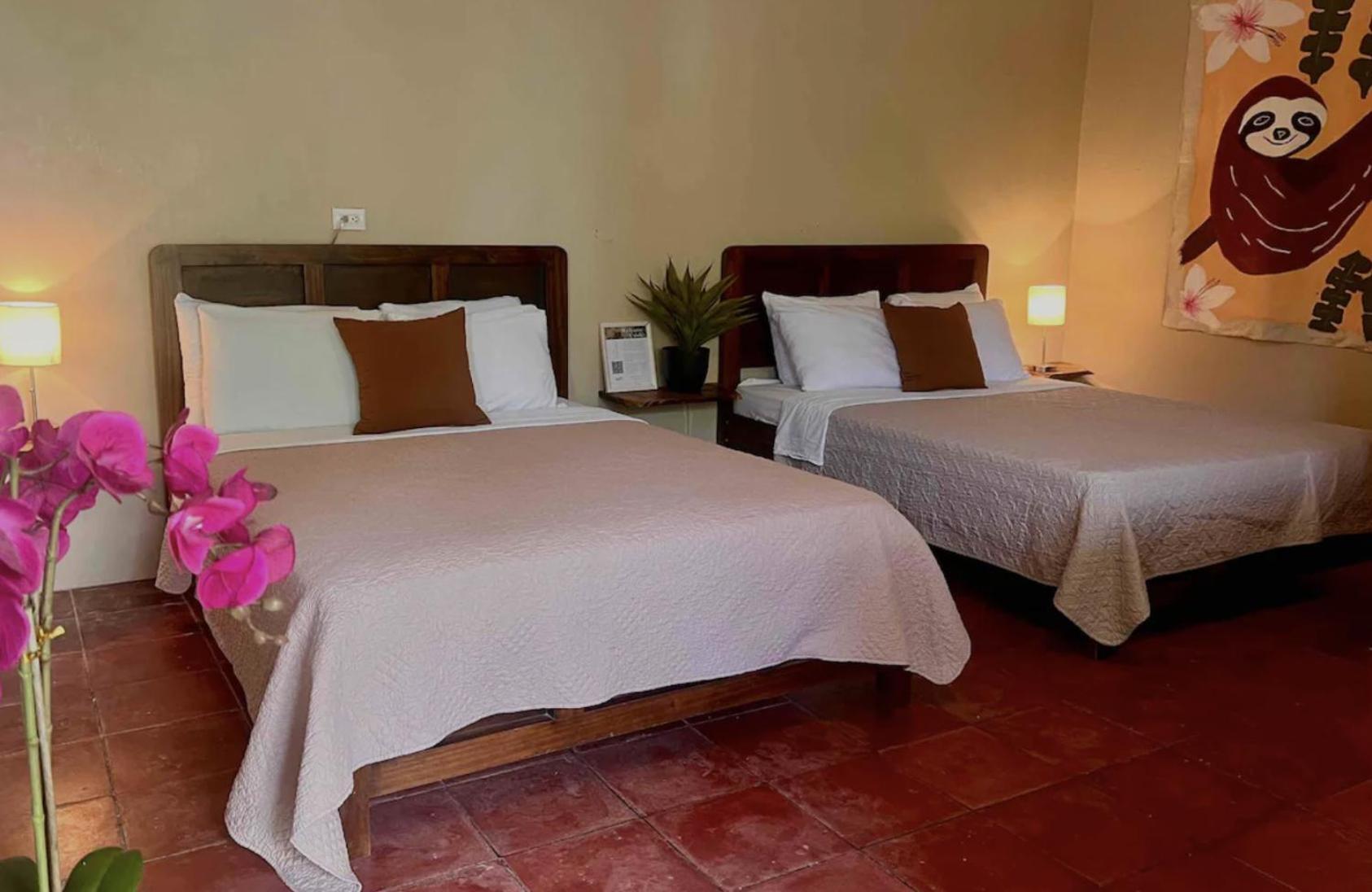 Mizaru Ocean View Hotel Manuel Antonio Quepos Zewnętrze zdjęcie