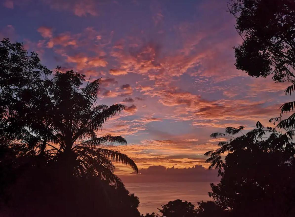 Mizaru Ocean View Hotel Manuel Antonio Quepos Zewnętrze zdjęcie